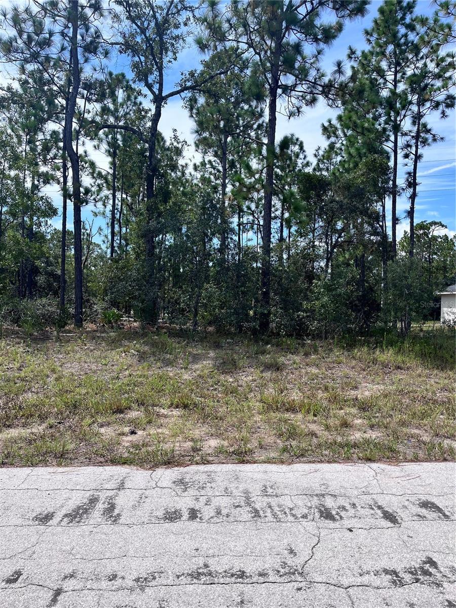0.23 acre lot ready to build your dream home! Welcome to Citrus Springs, a charming and scenic community in North Citrus County. This deed-restricted neighborhood offers the freedom of no HOA fees while maintaining a peaceful, rural atmosphere with well-spaced, affordable homes-an ideal setting to call home. Residents enjoy access to the Withlacoochee State Trail, perfect for walking, biking, and hiking. Community amenities include a library, community center, park, and lighted tennis courts. Golf enthusiasts will appreciate the nearby golf course, which features a driving range, putting greens, and an on-site restaurant. Citrus Springs is conveniently located just minutes from crystal-clear springs, fishing, boating, diving spots, shopping, dining, medical facilities, top-rated schools, and only a short drive to Ocala. With ongoing growth and development, this is a fantastic opportunity to build your dream home. Take a look at this incredible lot and make your offer today!