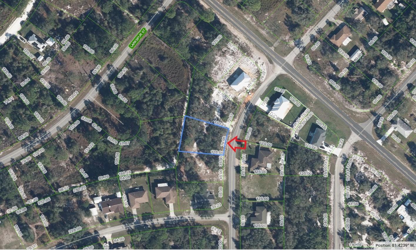 Growing neighborhood with beautiful nature and lakes in near proximity. This lot is not too far down the street from Lake Carrie with boat ramp nearby. This area has access into Lake June and Lake Henry. You can enjoy hiking on available trails and boating on lakes nearby. NO HOA fees to worry about. Close to restaurants, gas station, grocery stores, and much more. This lot is located in the midpoint of Lake Placid and Sebring.