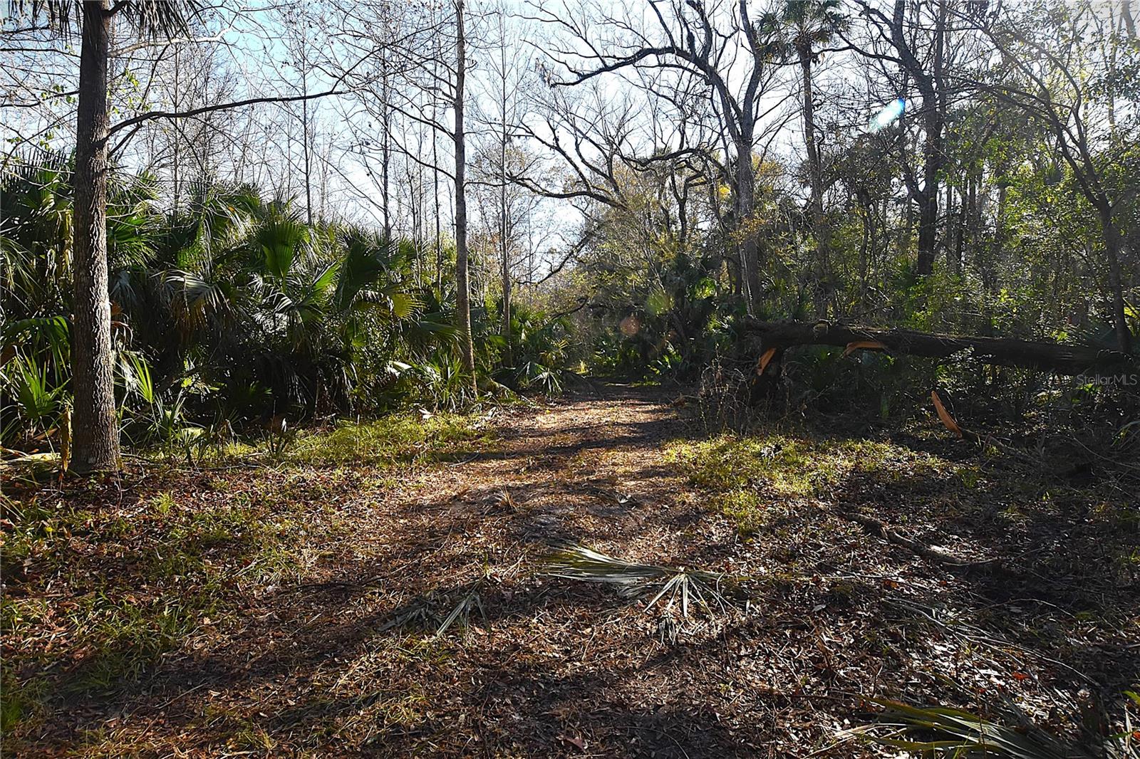 ASSESSORS SIBBALD GRANT - Land