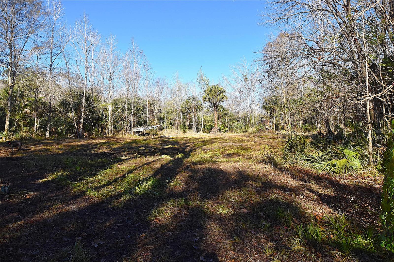 ASSESSORS SIBBALD GRANT - Land