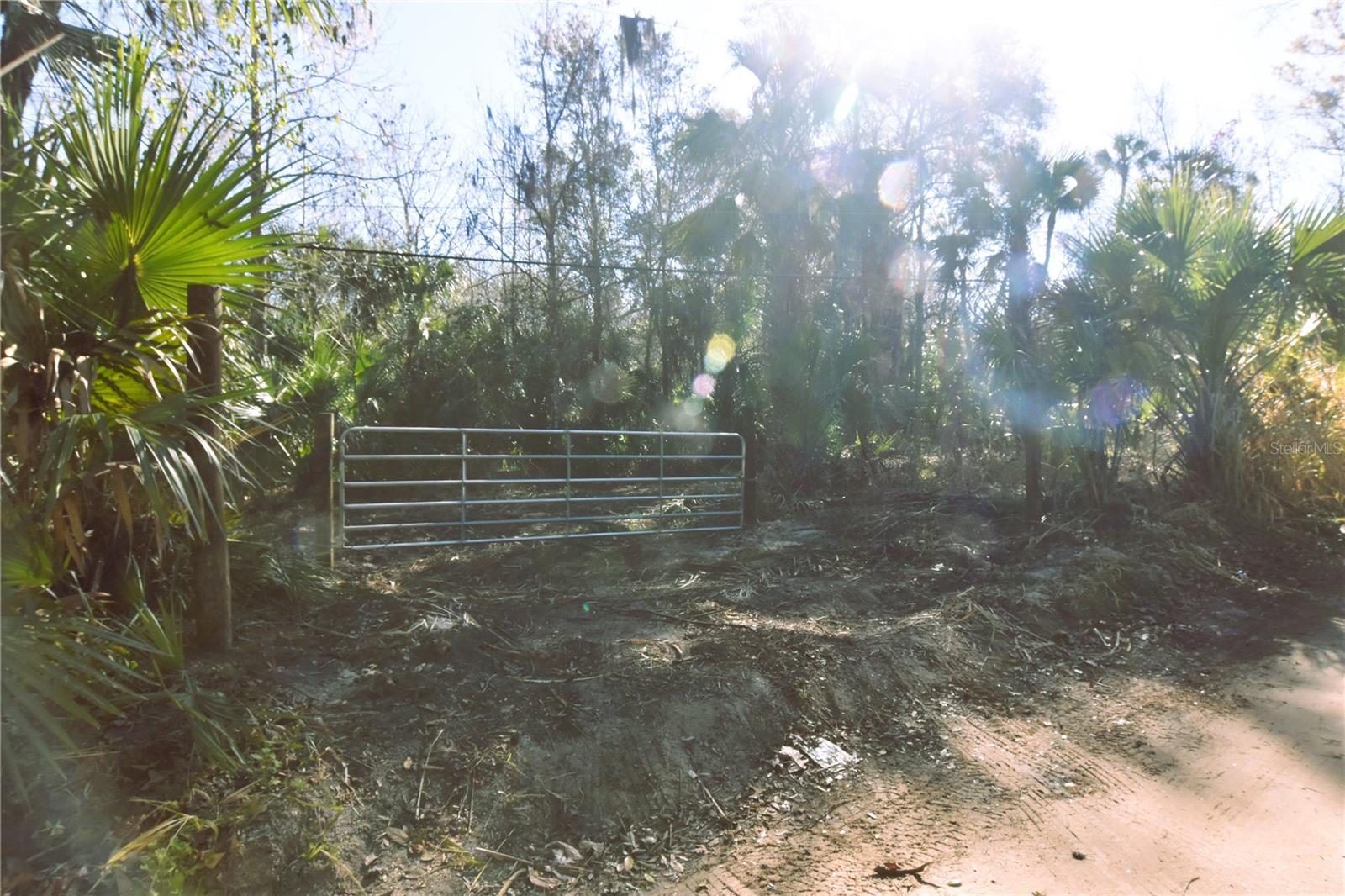 ASSESSORS SIBBALD GRANT - Land