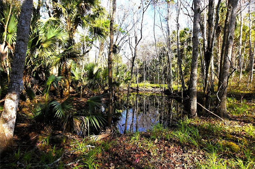 PRICE REDUCED ON 5 ACRES OF GORGEOUS HIGH AND DRY PRIVACY! SELLER SAYS BRING ALL OFFERS! This is 5 acres high and dry in Flood Zone X: "Out of Special Flood Hazard Area", on a County Maintained Road! This is a beauty of a parcel with the kind of privacy that's getting almost impossible to find anymore, and even has a small pond for a bit of tranquility. And this isn't just a lot, it’s a full 5 acres, partially cleared for access, and with 344 feet of frontage on Lingo Grove Rd. Seller is also offering further clearing for buyer. Note, this road is NOT paved, so traffic is minimum assuring privacy and peace and quiet. There is wildlife in rural areas, including turkey, deer, hogs and others, so places like this aren't for everyone. But if you're looking for some peace and quiet and still be within range of modern conveniences like shopping and recreation, this could be your next home base. Utilities are available at the street (electric only). No HOA's here, so park your boat, motor home, or machines and enjoy the personal space. Veterans and Horses always Welcome!