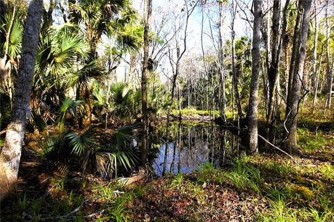 4721 LINGO GROVE ROAD EDGEWATER FL 32141