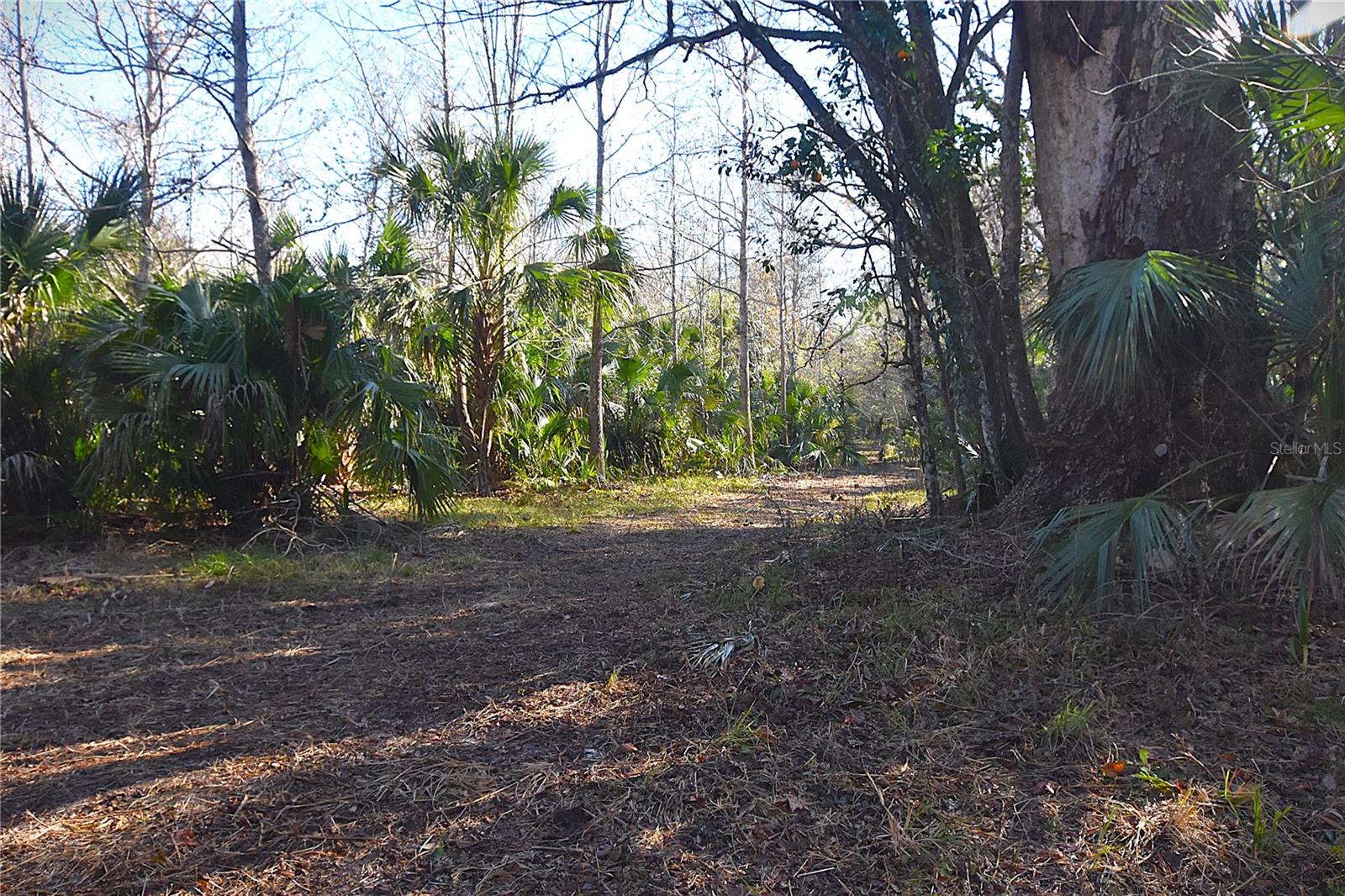 ASSESSORS SIBBALD GRANT - Land