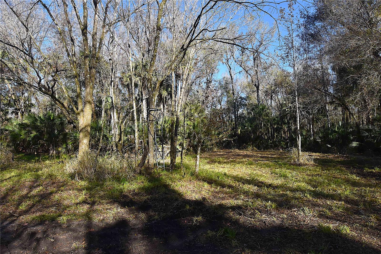 ASSESSORS SIBBALD GRANT - Land