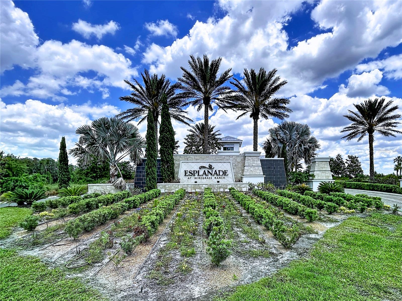 ESPLANADE/WIREGRASS RANCH PH - Residential