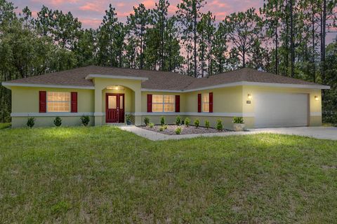 Photo of 13160 SW 89th Street, Dunnellon, FL 34432 (MLS # OM706675)