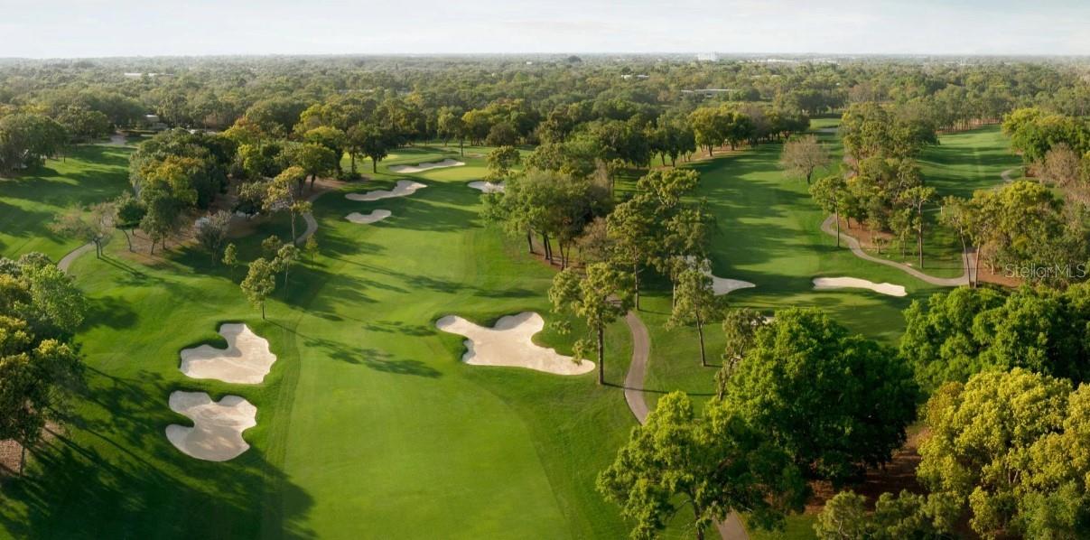 MONTROSE AT INNISBROOK - Residential