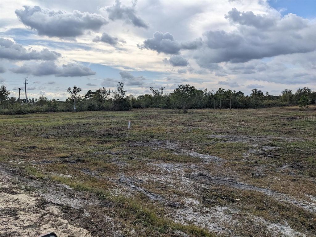 Photo of 4830 Holopaw Street, Lake Wales, FL 33859 (MLS # B4901823)