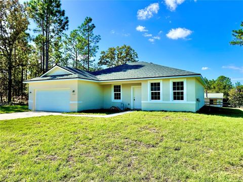 A home in CITRUS SPRINGS