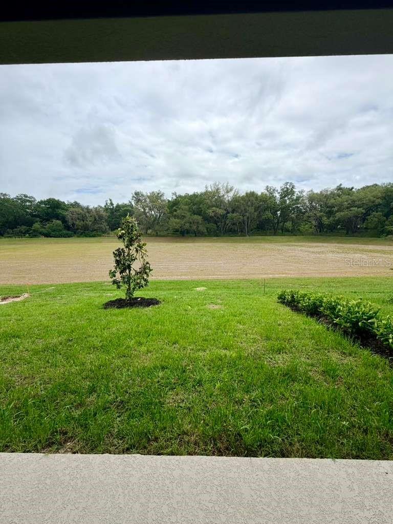 HAMMOCK OAKS PH 1C - Residential