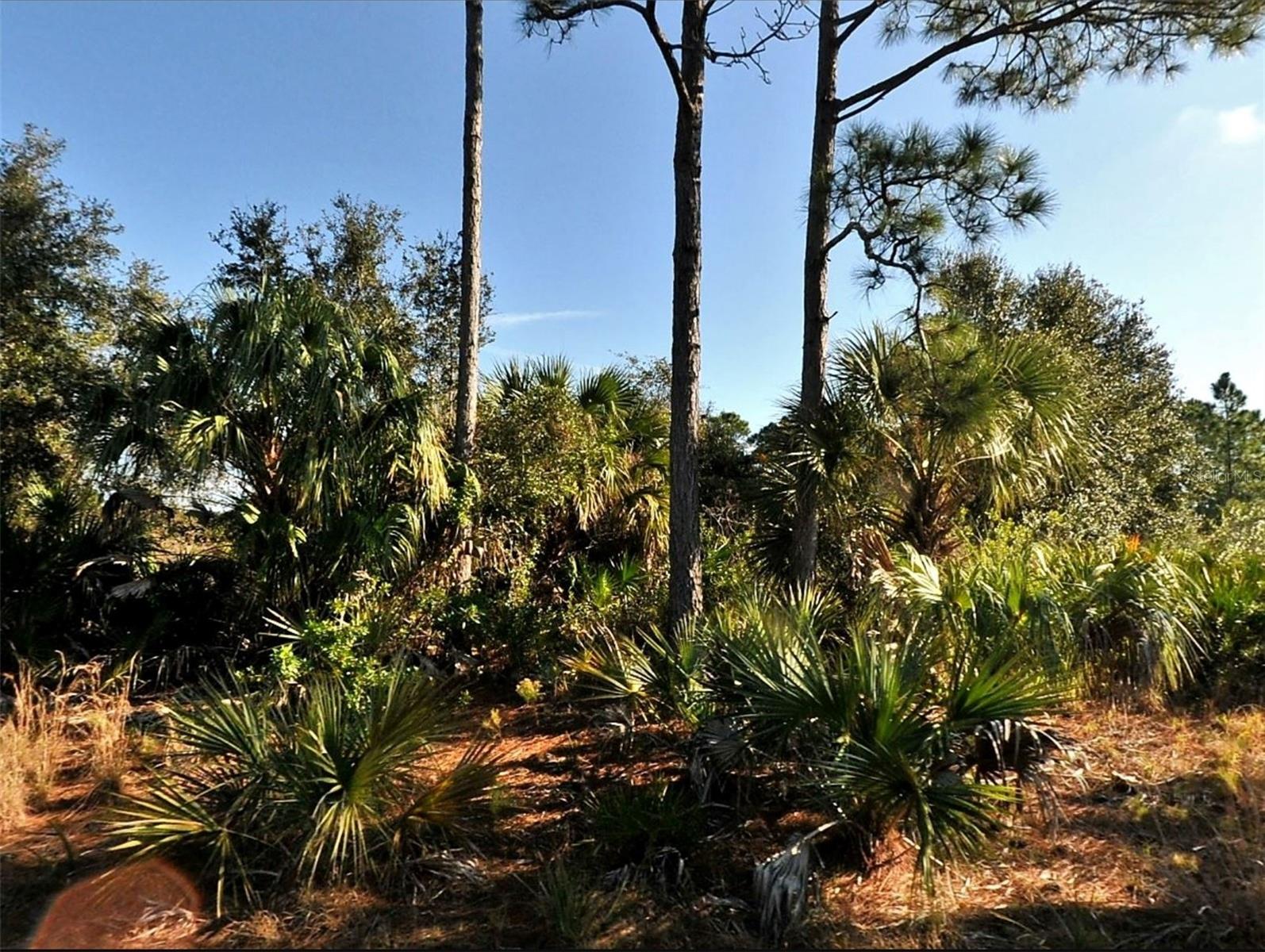 Gorgeous lot in North Port. North Port is an area that has seen major growth in the past few years and is convenient for those looking to commute to Sarasota or Fort Myers. The City of North Port offers so many community highlights including a new Water Park, Atlanta Braves Spring Training Stadium, shopping, dining, plenty of public parks, and less than a 30 minute drive to pristine Gulf Coast Beaches! Don't miss this one;