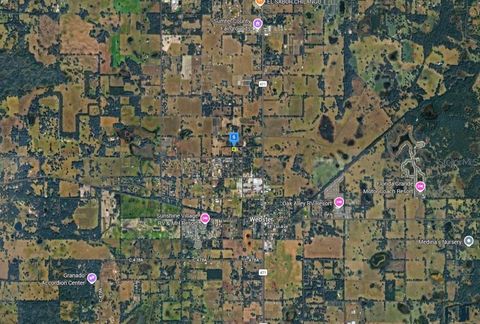 Tiny photo for 9143 SE 26th Way, Webster, FL 33597 (MLS # A4684678)