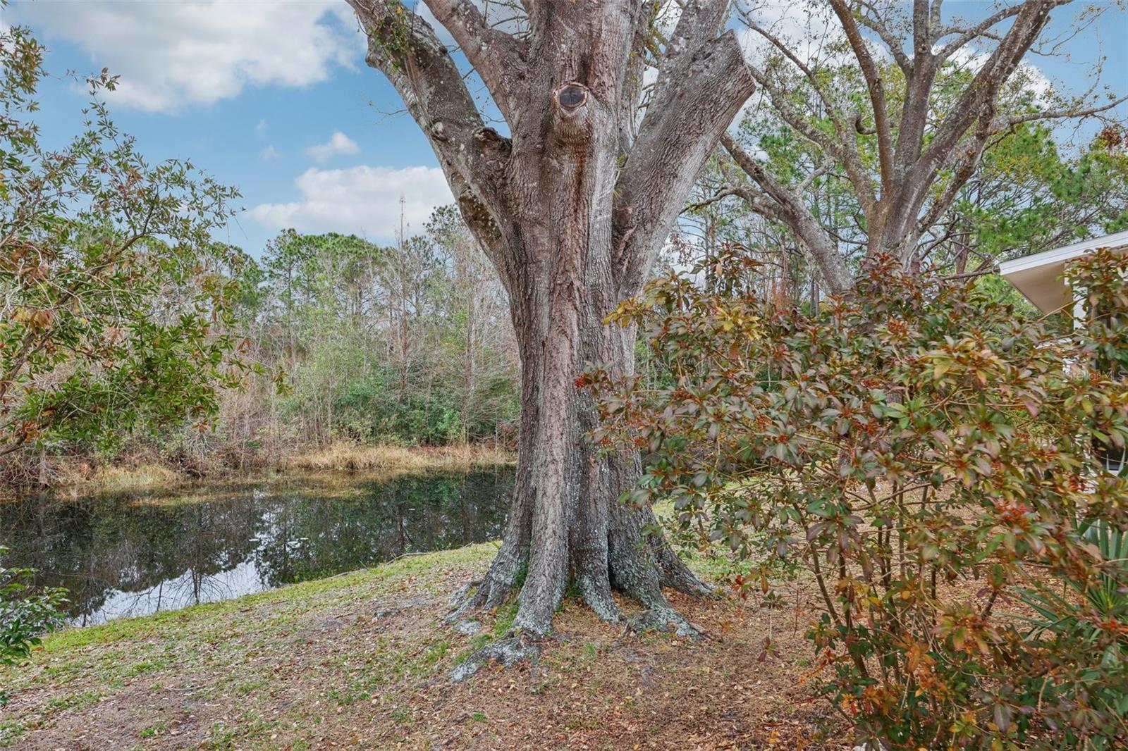 312 BRIGADOON CIRCLE 312