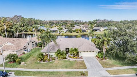 A home in TARPON SPRINGS