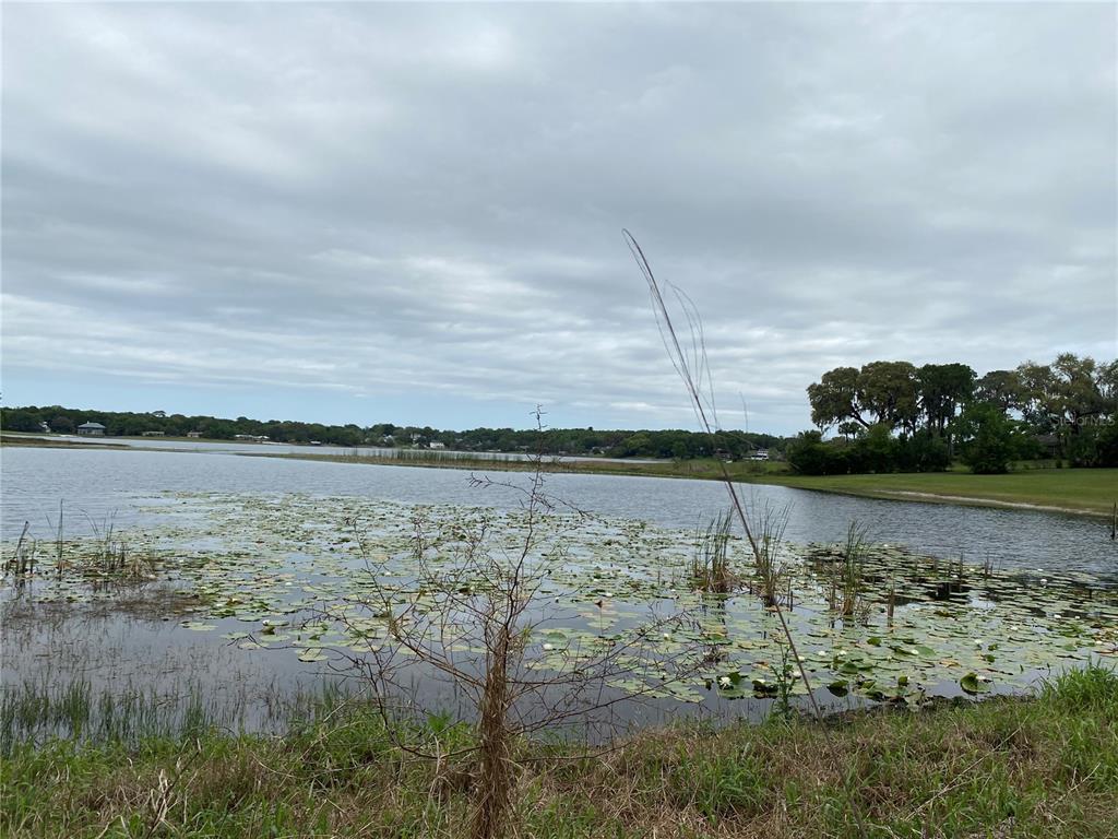 Your lake front lot awaits! Situated on West Crooked Lake, this 1.06-acre lot is ready for you to build you dream home. Tucked away on a quiet street, this remarkable homesite gives you a feeling of privacy and offers a peaceful lake house setting. This property is only 8 minutes away from both downtown Mount Dora and Eustis, known for their plentiful restaurants, great shopping and live entertainment. An hour away from Florida's most famous beaches, and to Disney World! This lot is partially fenced and leaves room for one's imagination to build the home you've been waiting for. You don't want to miss out on this little piece of paradise - call today!