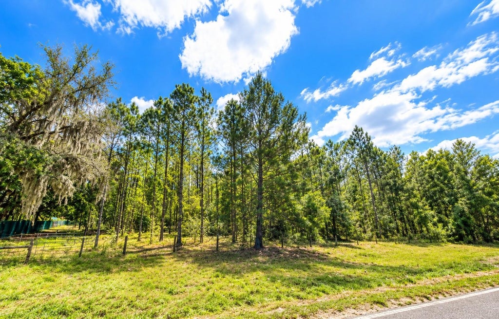 Photo of 000 Cr 309, Satsuma, FL 32189 (MLS # O6451515)