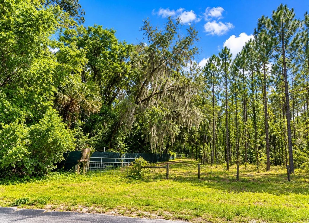 Photo of 000 Cr 309, Satsuma, FL 32189 (MLS # O6451515)
