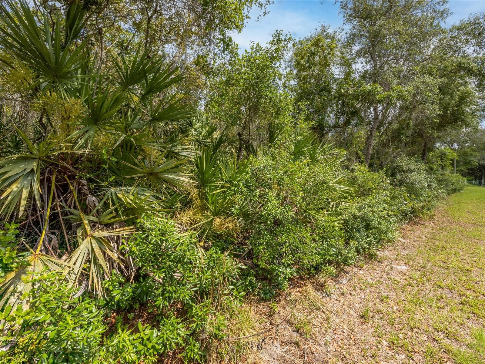 DAYTONA PARK ESTATES SEC C - Land