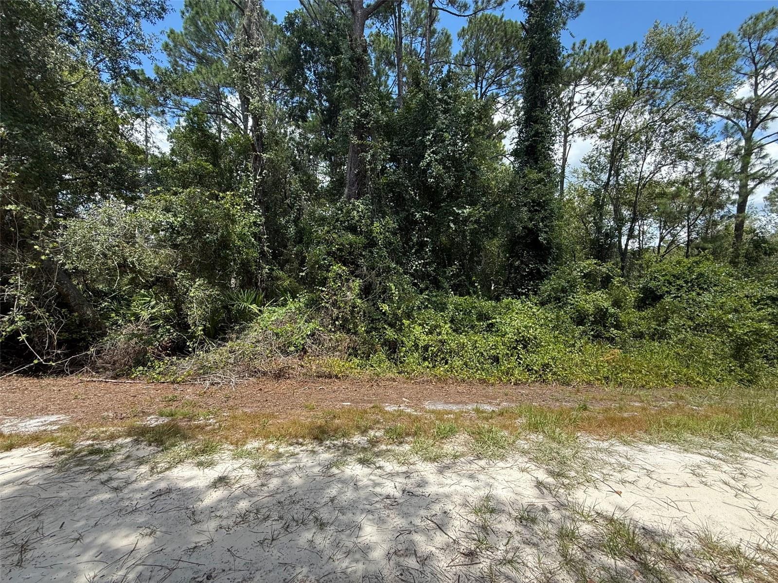 Discover the perfect slice of Florida in the peaceful community of Georgetown. This lot offers the ideal space to build your dream home, weekend getaway, or future investment property. Located in a quiet, rural setting just minutes from Lake George and the St. Johns River, you’ll enjoy easy access to boating, fishing, and outdoor adventures. The property is nestled in a nature-filled area with plenty of privacy, while still being a short drive to local shops, restaurants, and recreational spots. Whether you’re looking to create a permanent residence or a vacation escape, this lot provides the perfect canvas for your vision.
