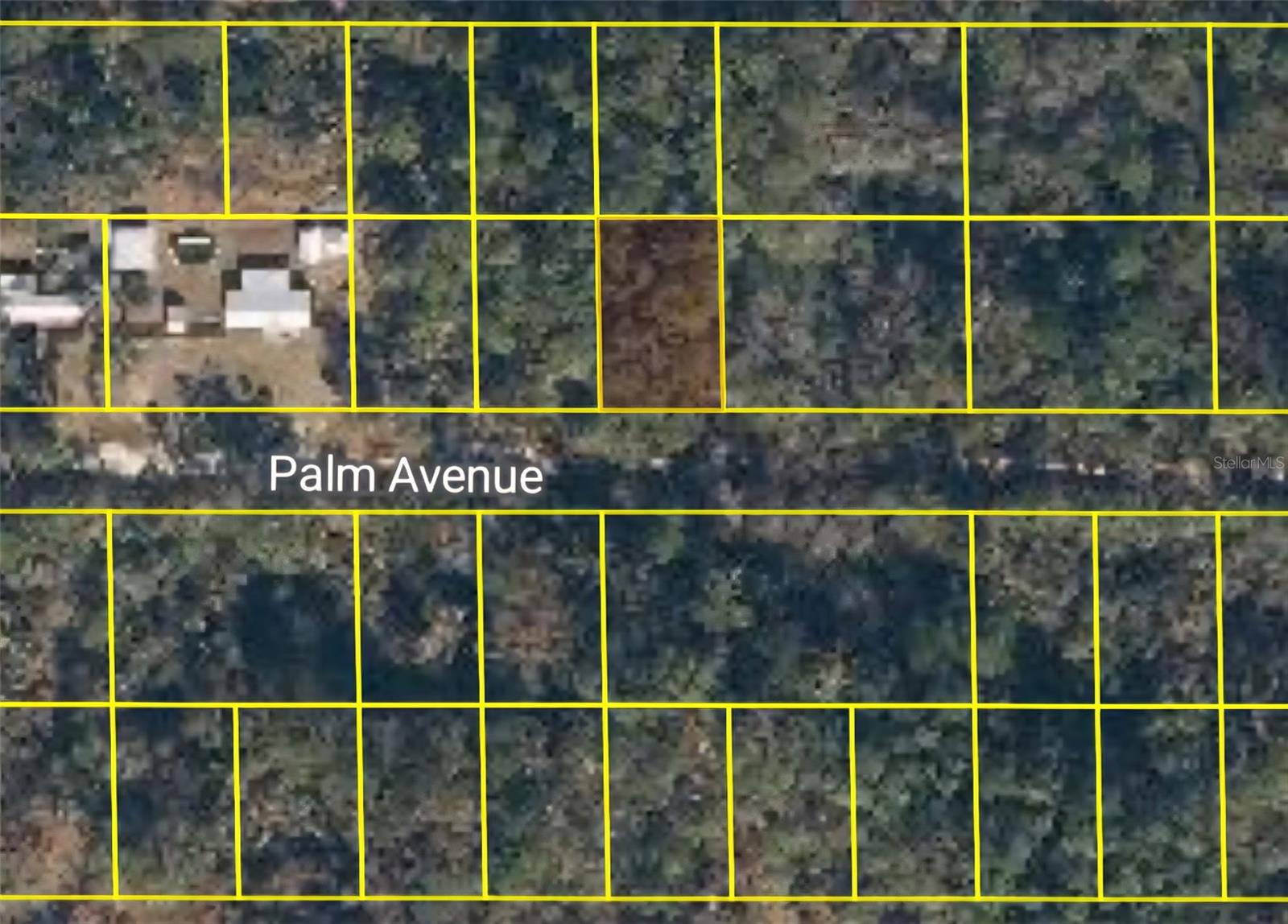 322 PALM WAY