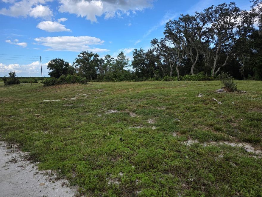 Imagine the possibilities with this vacant lot in the sought-after community of Avon Park Lakes. The property offers a blend of natural Florida scenery and a convenient location just minutes from shopping, dining, lakes, parks, golf courses, and abundant outdoor recreation. With partial clearing already done, it’s an inviting canvas for your future home. Surrounded by newly built residences, this lot is perfect for creating your ideal retreat while still enjoying nearby amenities. Additional adjoining parcels are also available if you’re looking to expand your vision. Take advantage of this opportunity today.