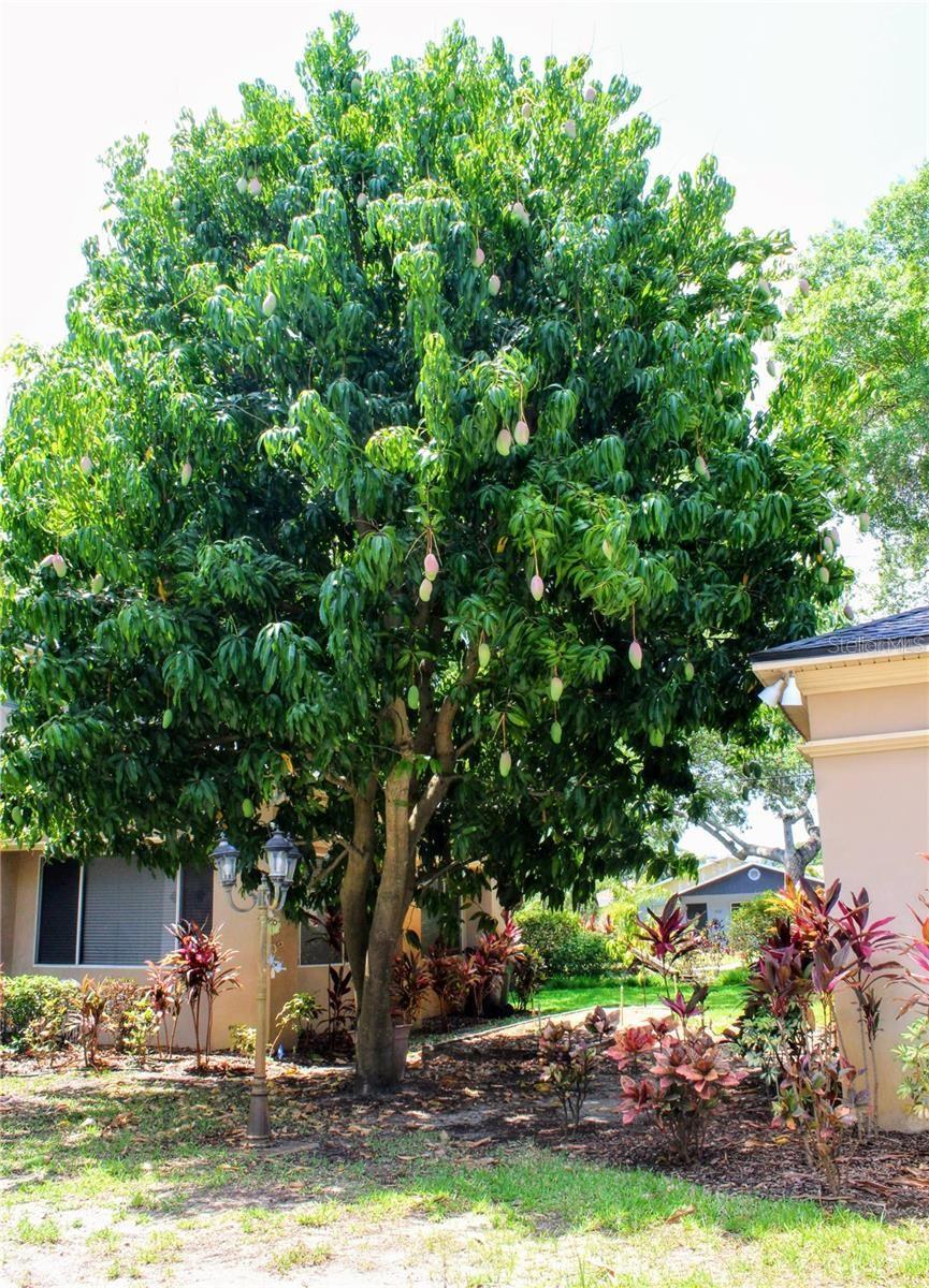 INTERBAY - Residential Lease