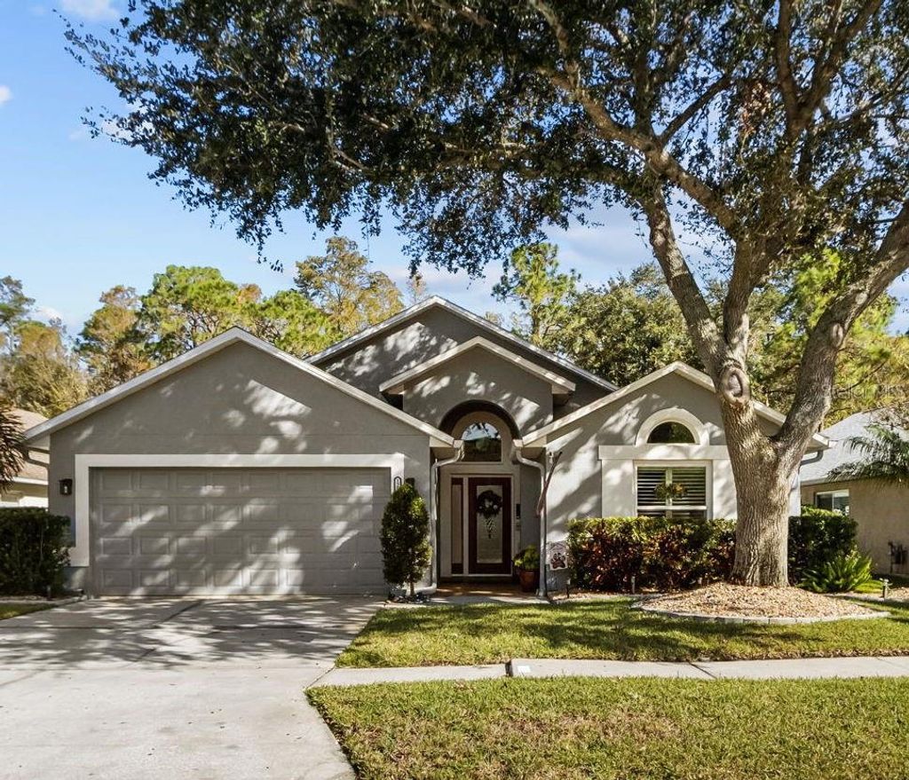 Photo of 12531 Sparkleberry Road, Tampa, FL 33626 (MLS # TB8315707)