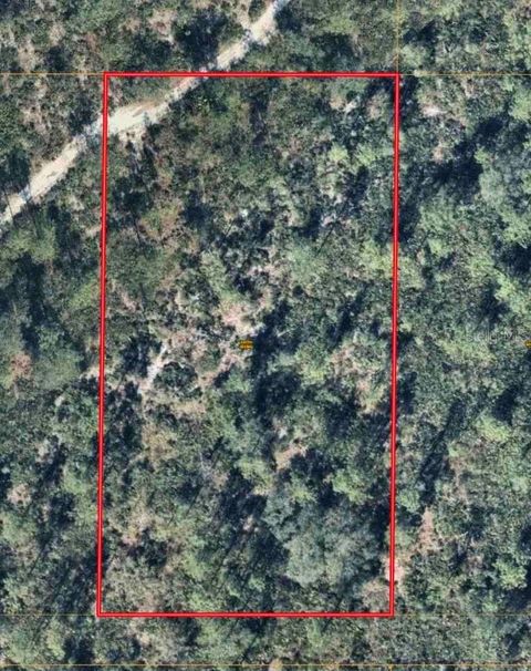 S APOPKA VINELAND ROAD ORLANDO FL 32821