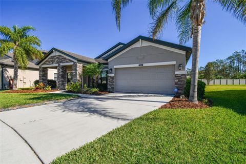 A home in LAND O LAKES