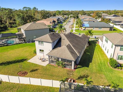 A home in LAND O LAKES