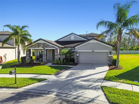 A home in LAND O LAKES