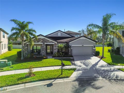 A home in LAND O LAKES