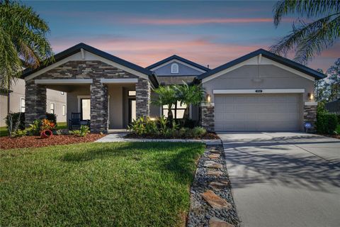 A home in LAND O LAKES