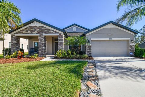 A home in LAND O LAKES