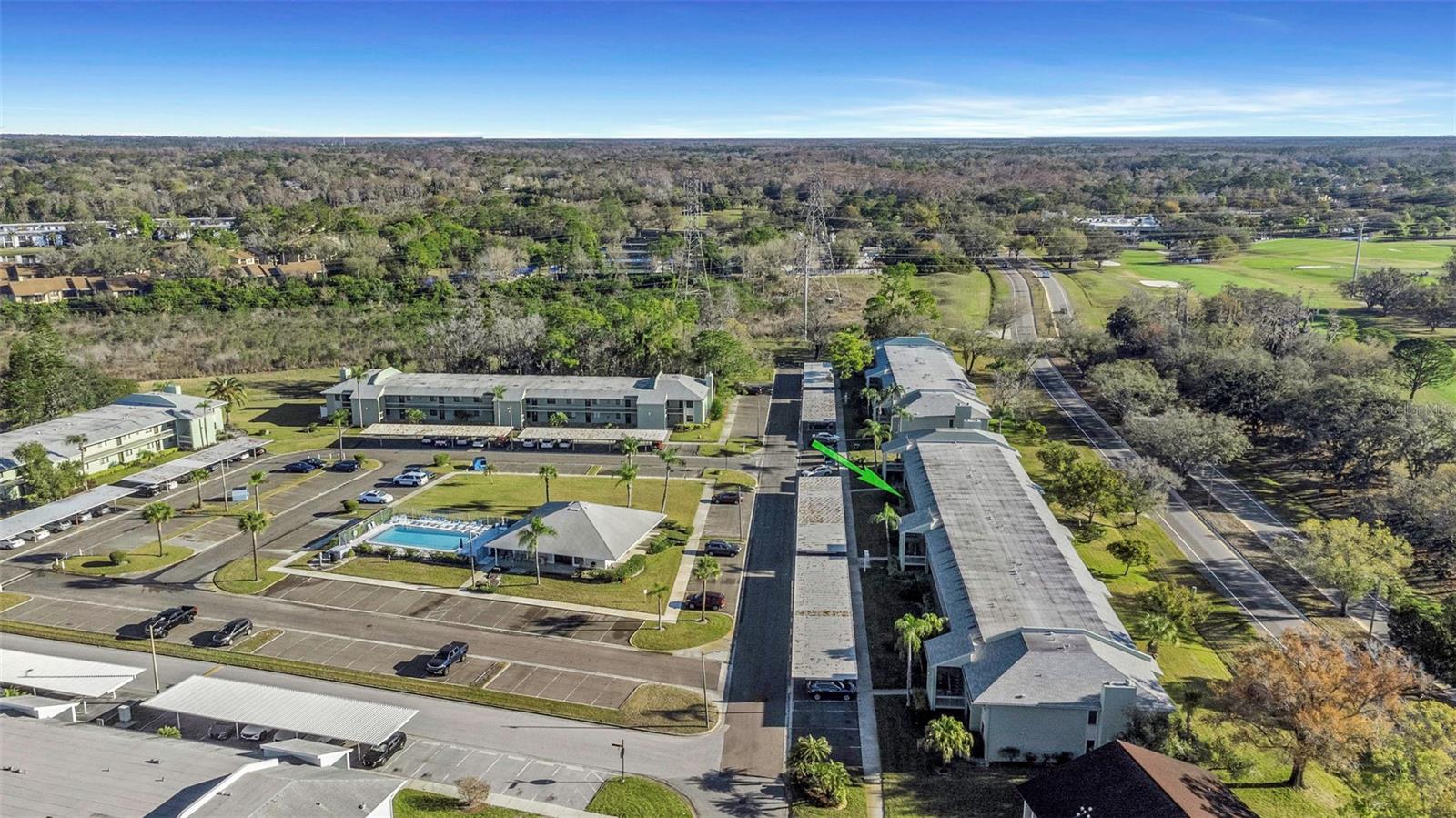 EAST LAKE WOODLANDS CONDO - Residential