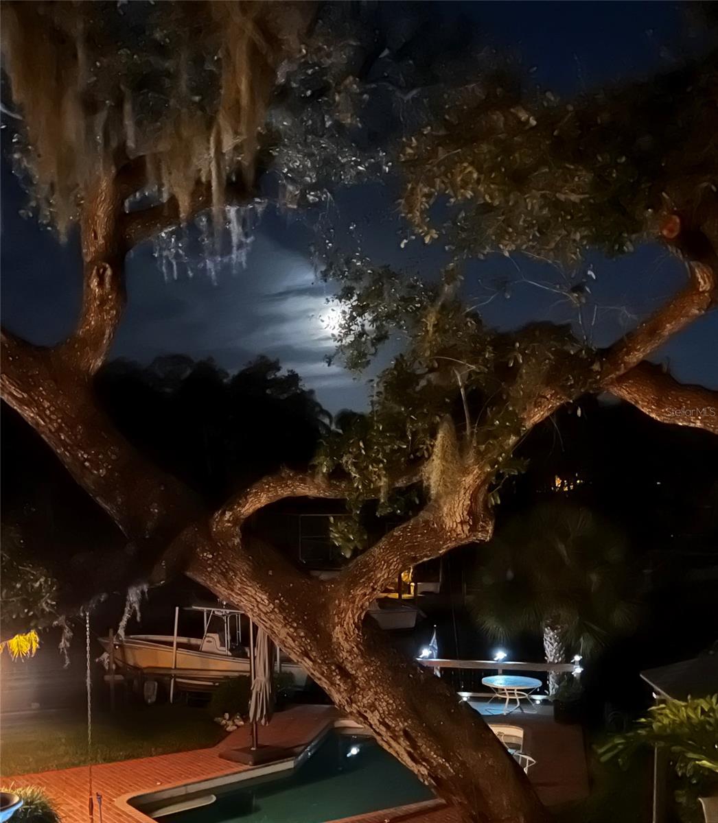 BAY VIEW ACRES - Residential