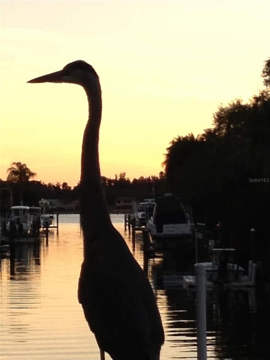 BAY VIEW ACRES - Residential