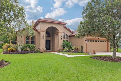 A home in LAND O LAKES