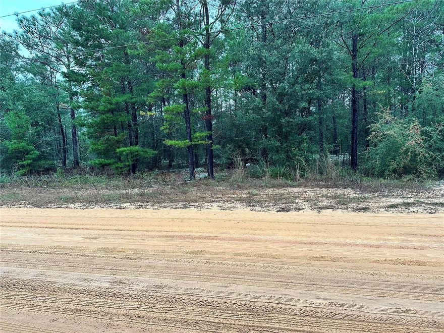 Situated in the heart of Defuniak Springs, this residential lot measures 80 by 123 feet and offers access to city water. Located outside the flood zone, with no wetlands or protected species on site, this lot is shovel-ready and primed for development. Rich in history with a downtown centered around a spring-fed lake, DeFuniak Springs, 45 miles northeast of Destin in the Florida Panhandle, offers a relaxed, small-town atmosphere and the chance to step back in time and see hundreds of historic homes and buildings. Chipley Park and Lake DeFuniak, a popular spot for boating, birding, fishing, and swimming, visitors can enjoy views of the spring-fed lake, go paddling, and fish from the pier or boat.