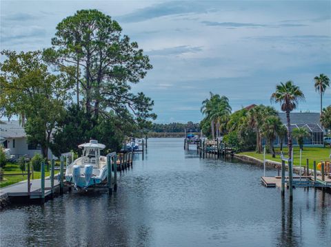 Tiny photo for 11972 W Riverhaven Drive, Homosassa, FL 34448 (MLS # TB8426099)