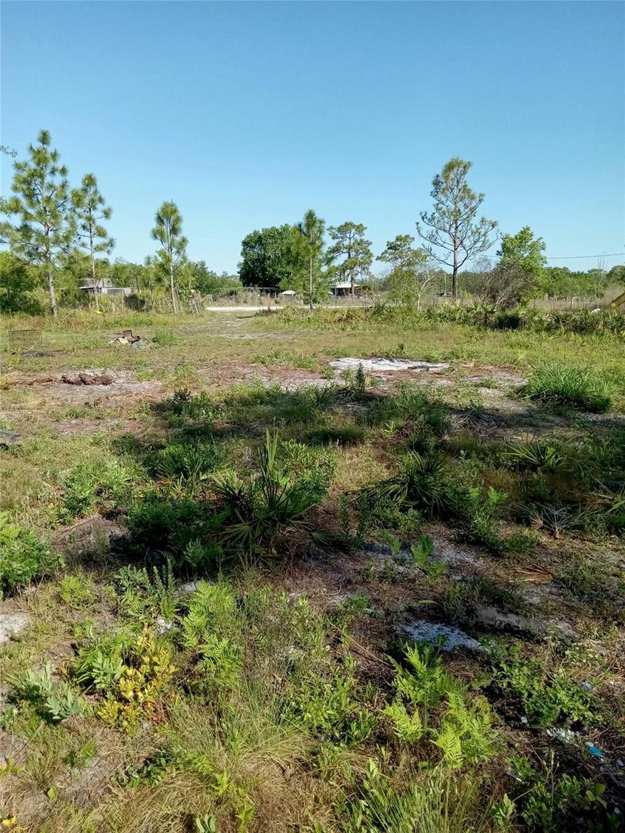 Fantastic Opportunity – 1.25 Acres in St. Cloud! Discover the perfect blend of privacy and convenience with this 1.25-acre lot in the peaceful Canaveral Acres/Bull Creek community. Located just off US-192, you’ll enjoy easy access to both St. Cloud and Melbourne, while still feeling tucked away from the hustle and bustle. Nature lovers will appreciate being just moments from the Bull Creek Wildlife Management Area, where you can enjoy seasonal hunting (with permit), fishing, wildlife viewing, hiking trails, and even camping.This property offers an affordable entry into land ownership with minimal obstacles and is conveniently equipped with an electric service post and a 25-foot deep well. Whether you’re looking to build, invest, or simply own a piece of Florida’s natural beauty—don’t let this opportunity pass you by. Submit your offer today and start planning your future!