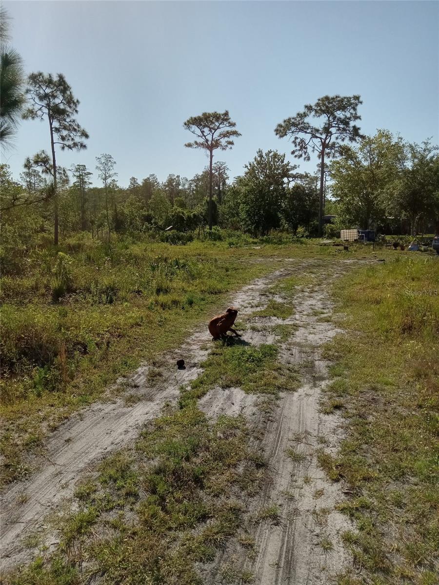 RURAL LAND - Land