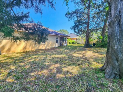 A home in PALM COAST