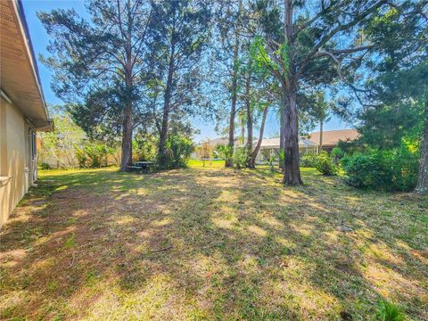 A home in PALM COAST