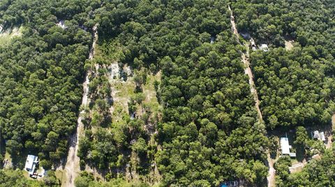 Tiny photo for SW 153rd Lane, Dunnellon, FL 34432 (MLS # O6420201)