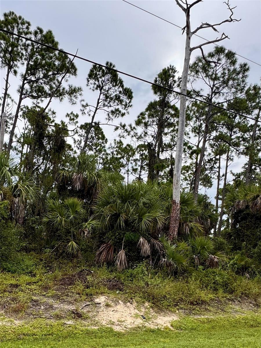 PORT CHARLOTTE SUB 08 - Land