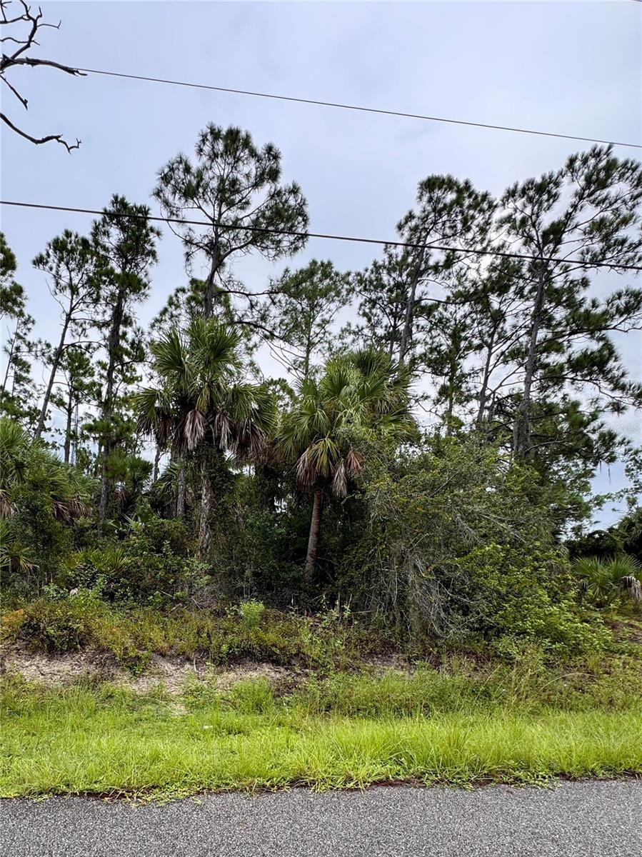 CANAL LOT!!!! Discover the perfect canvas for your dream home on this beautiful residential lot situated on the Creighton Waterway. This property offers serene waterfront views, abundant natural beauty, and the peaceful ambiance of canal-front living. Enjoy direct access to the freshwater canal, where fishing, kayaking, and wildlife watching are right in your backyard. This property provides plenty of opportunity for custom landscaping, a garden, or even a private dock. Located near all the conveniences of North Port yet nestled in a tranquil neighborhood with many new homes being built, this property combines the best of both worlds. Local parks, golf courses, shopping centers, and dining are just minutes away, ensuring a lifestyle that balances nature and convenience. Don't miss the opportunity to build your future in this picturesque and growing community.