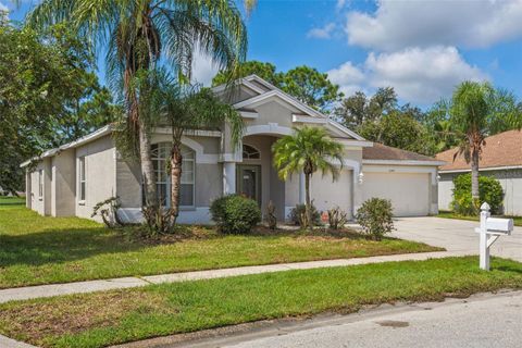 A home in WESLEY CHAPEL