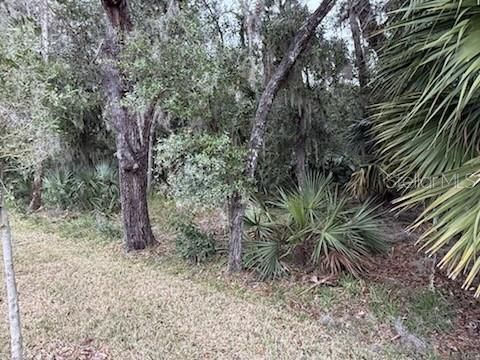 A home in ORMOND BEACH